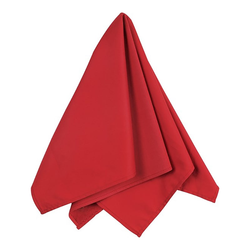 Big Accessories Solid Bandana 11