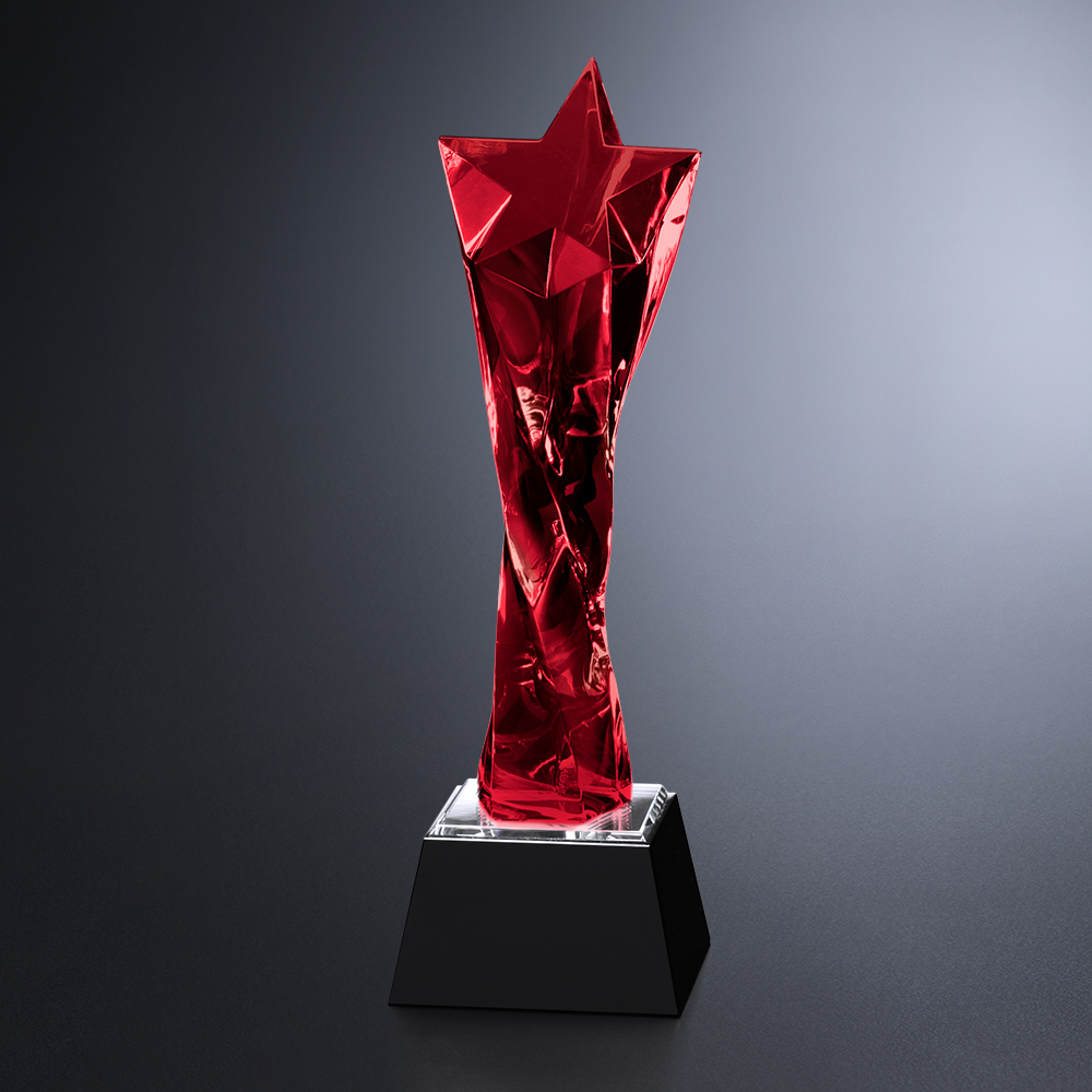 Twisted Star Award 4
