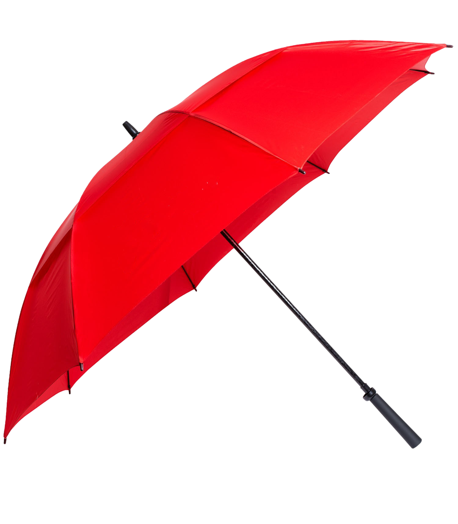 The Eagle Umbrella 29