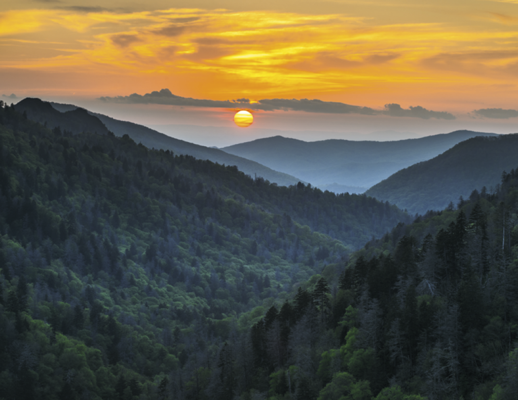 Good Value™ Landscapes of America - Stapled Calendar 63