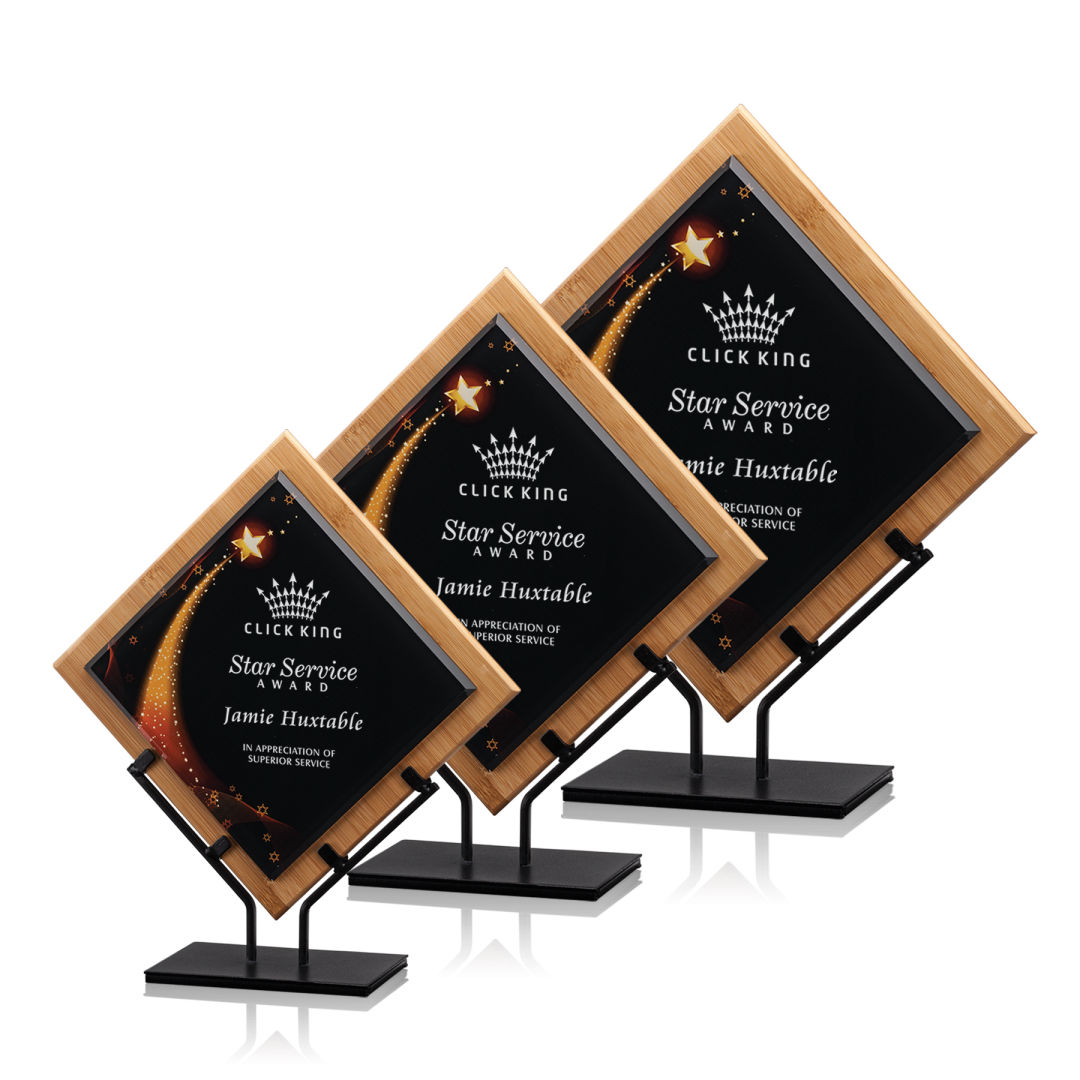 Lancaster Award - Star 2