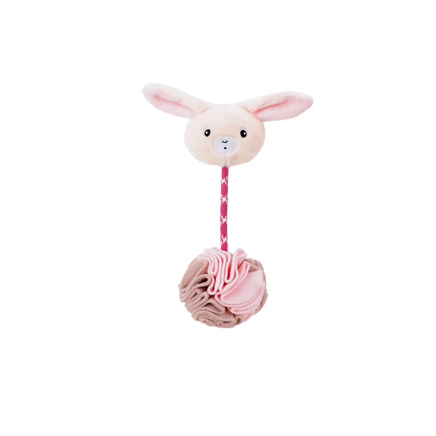 Pet Dog Teeth Hide Food Toys 6