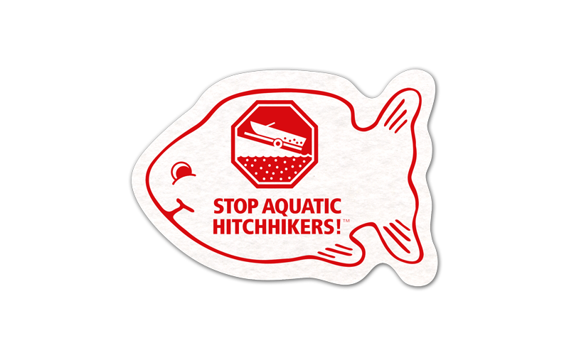 Fish Shammy Coaster 1