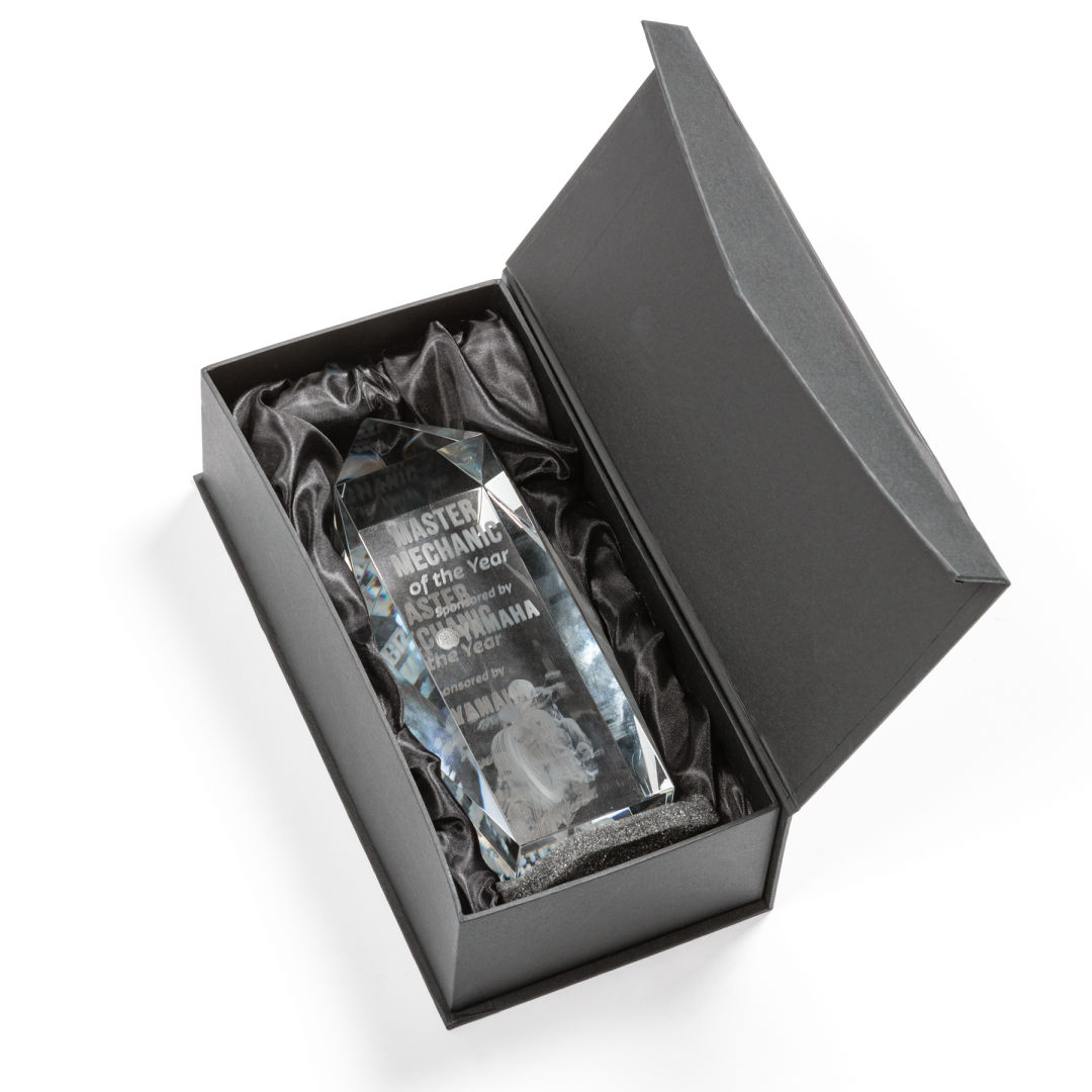 Bloomington Award 3D 2