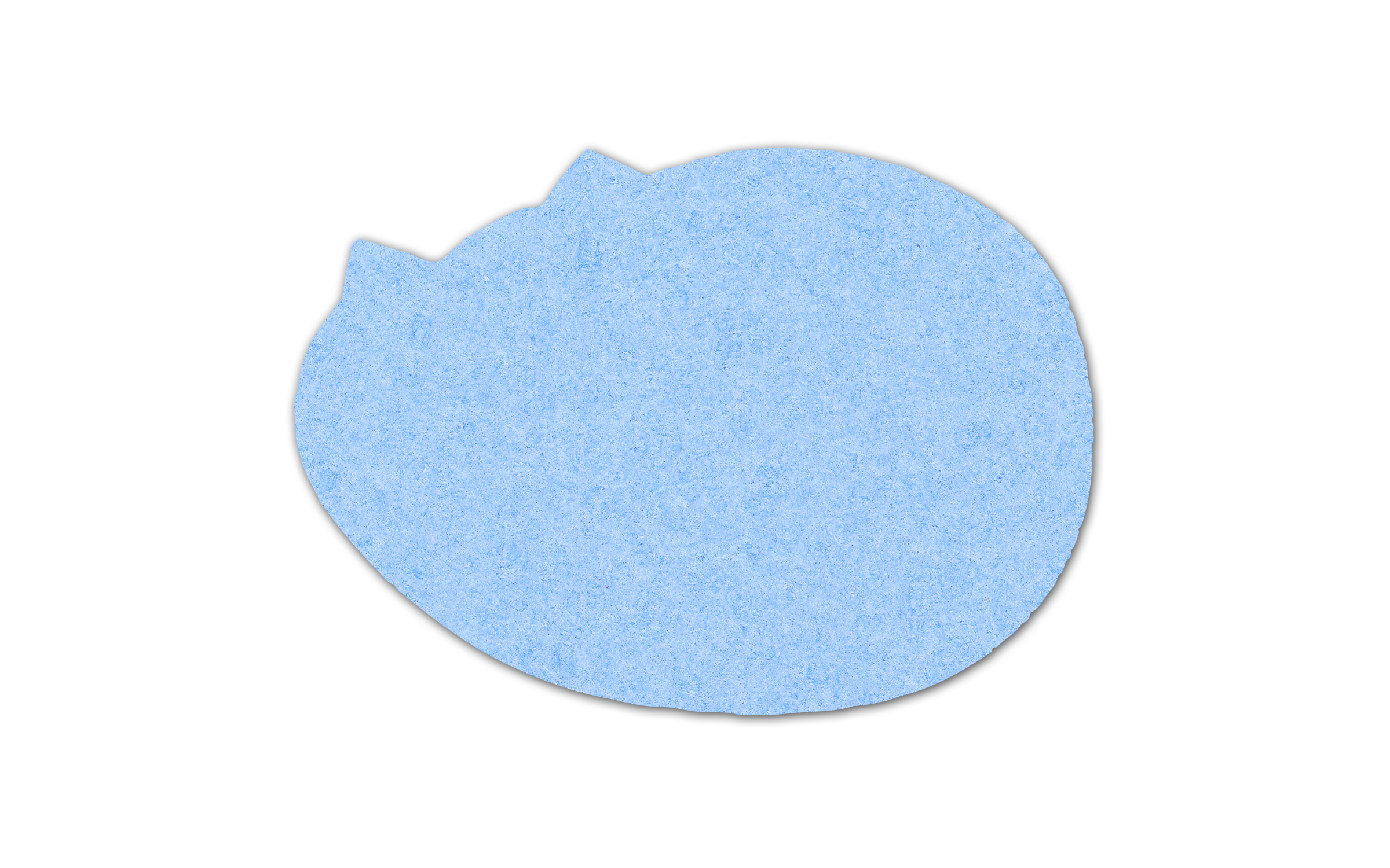 Painter Pallet Compressed Sponge 4