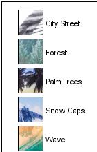 Photo Real Snapback Trucker Cap