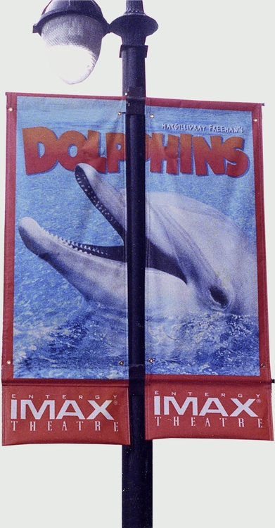 Two-Sided Pole Banner 30"x84" - Vinyl 1