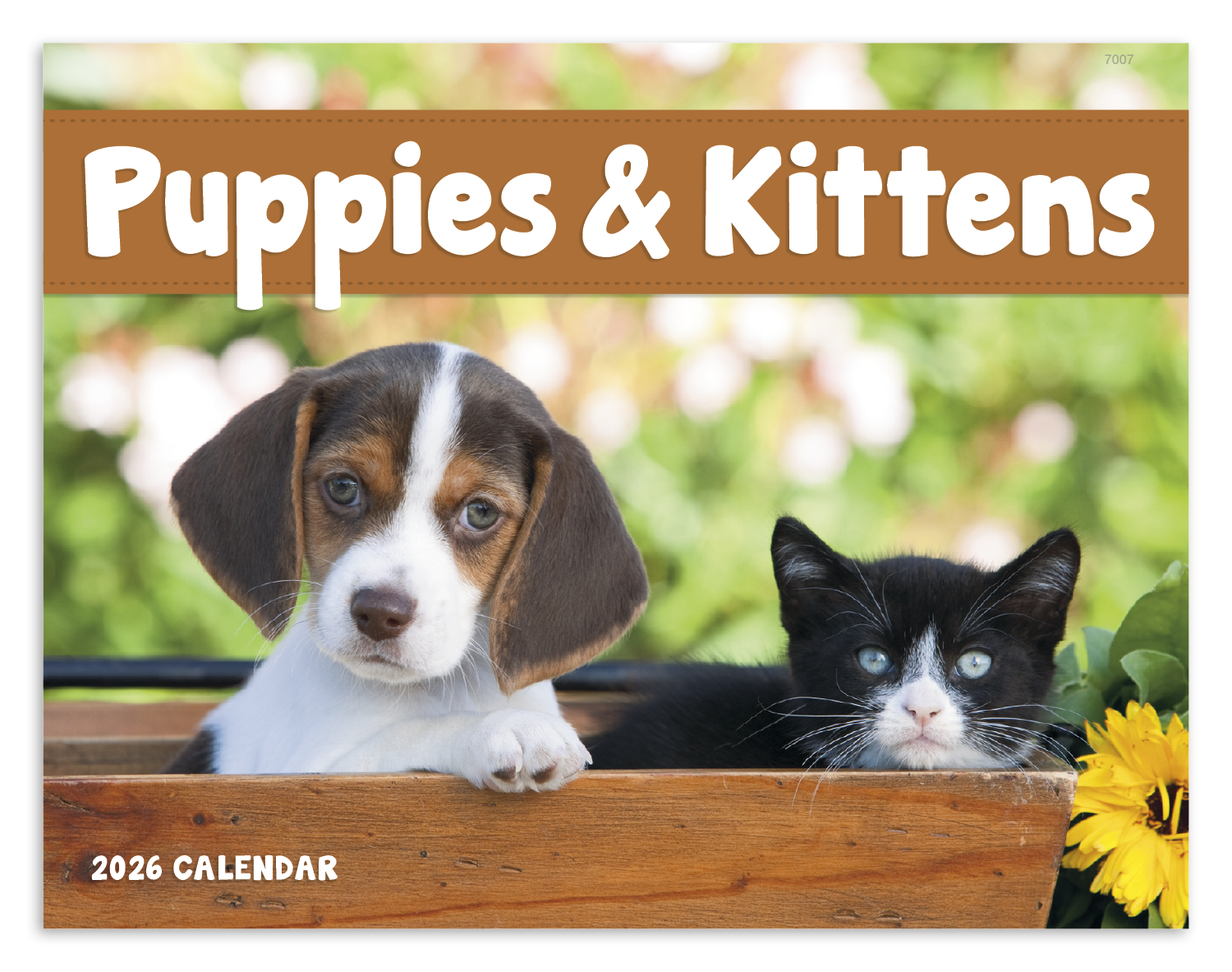 Good Value™ Puppies & Kittens - Window Calendar 16
