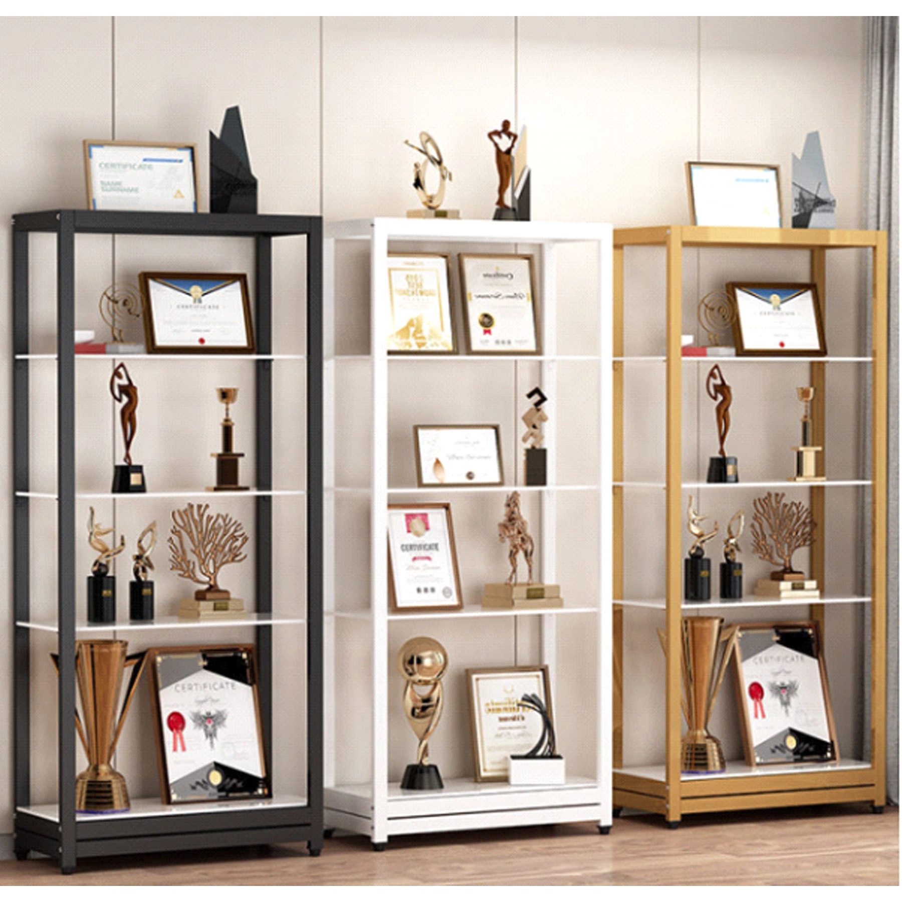 Display Case 3