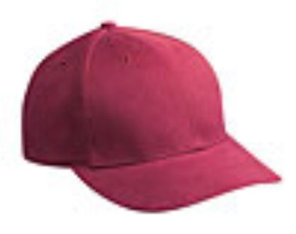 Embroidered Brushed Bull Denim Caps 5