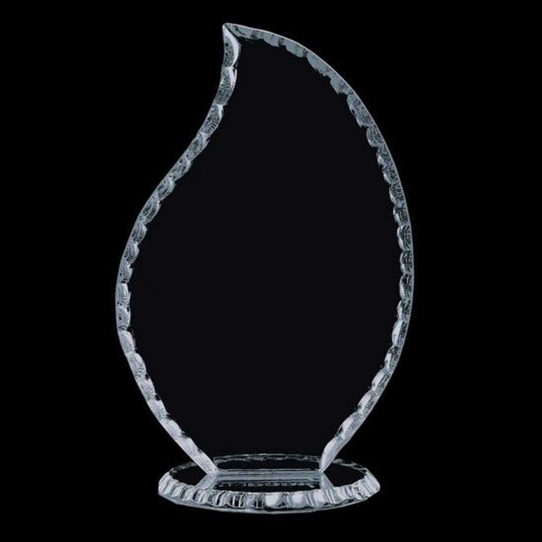 Dorset Award 4