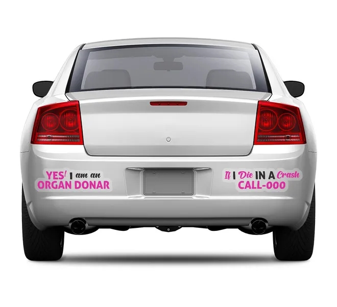 Die-Cut Clear Bumper Stickers (12" x 12"/sqft) 4