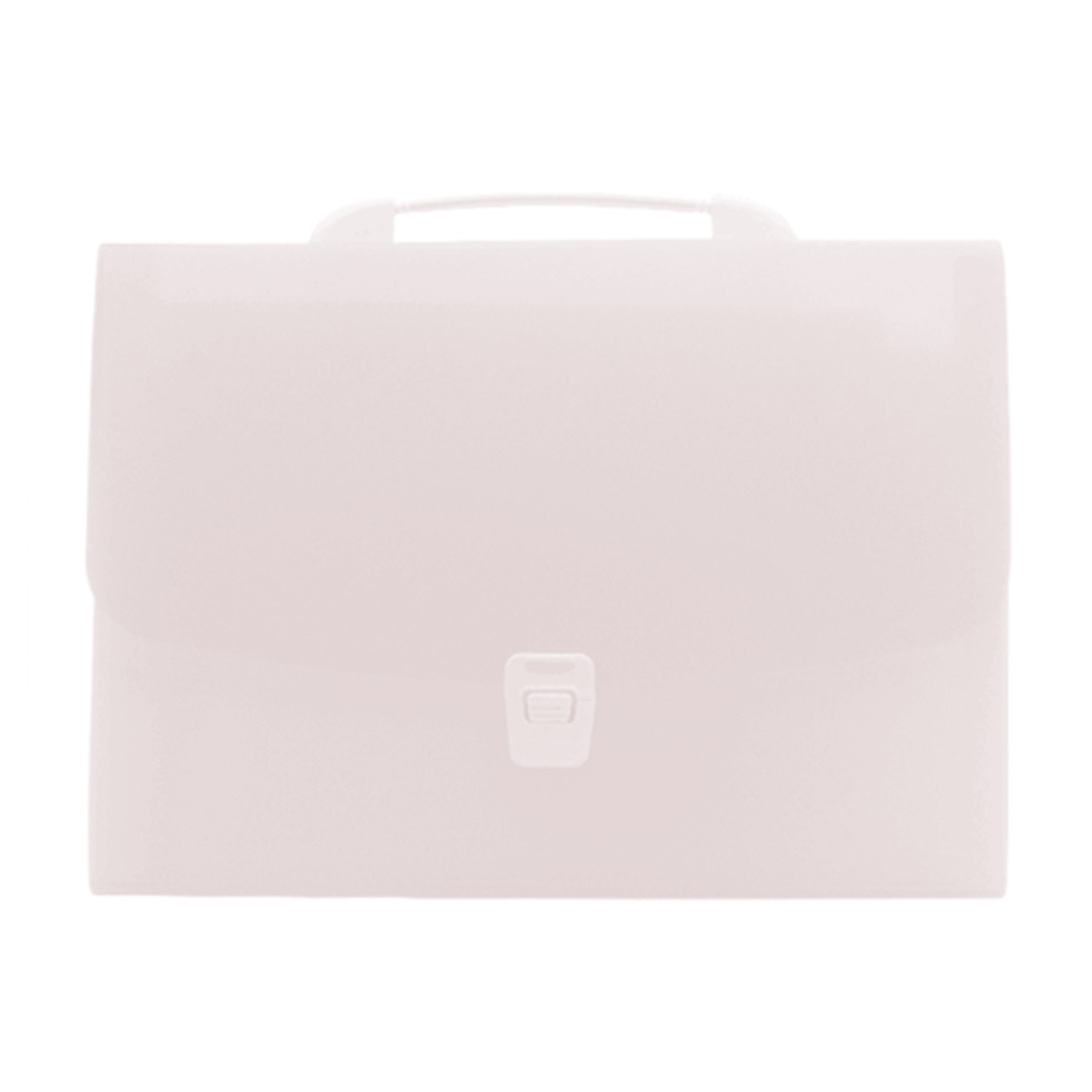 Portable Translucent Folder Bag 5