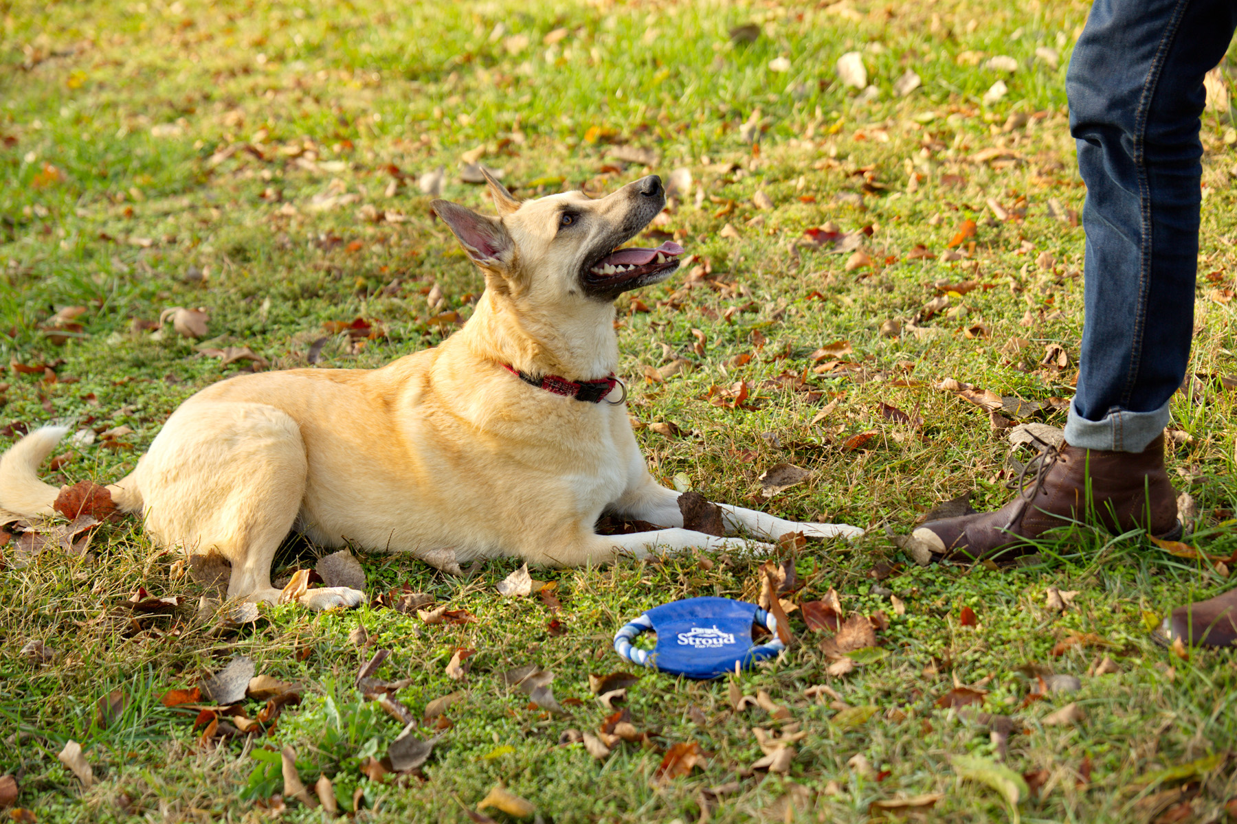 Fetch-It Dog Toy 6