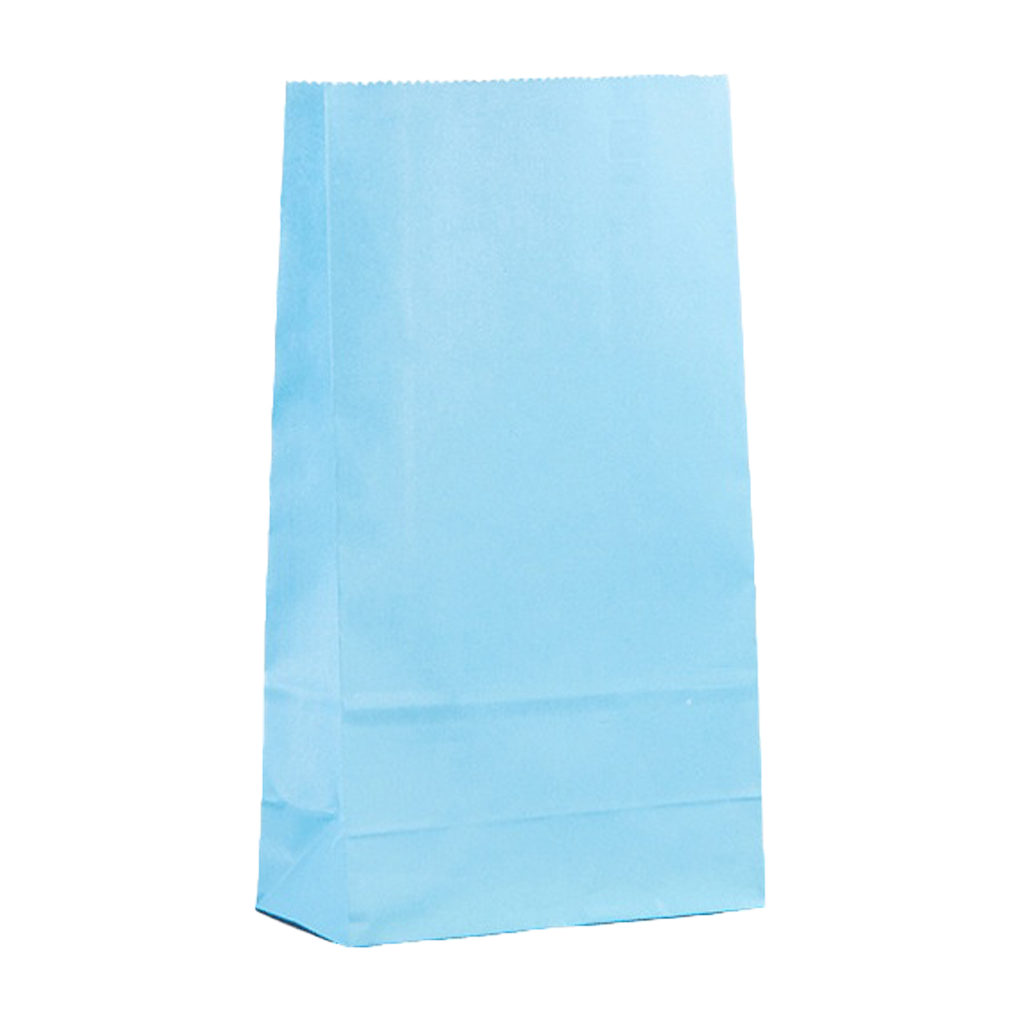 Grocery Shopping Paper Bag 13
