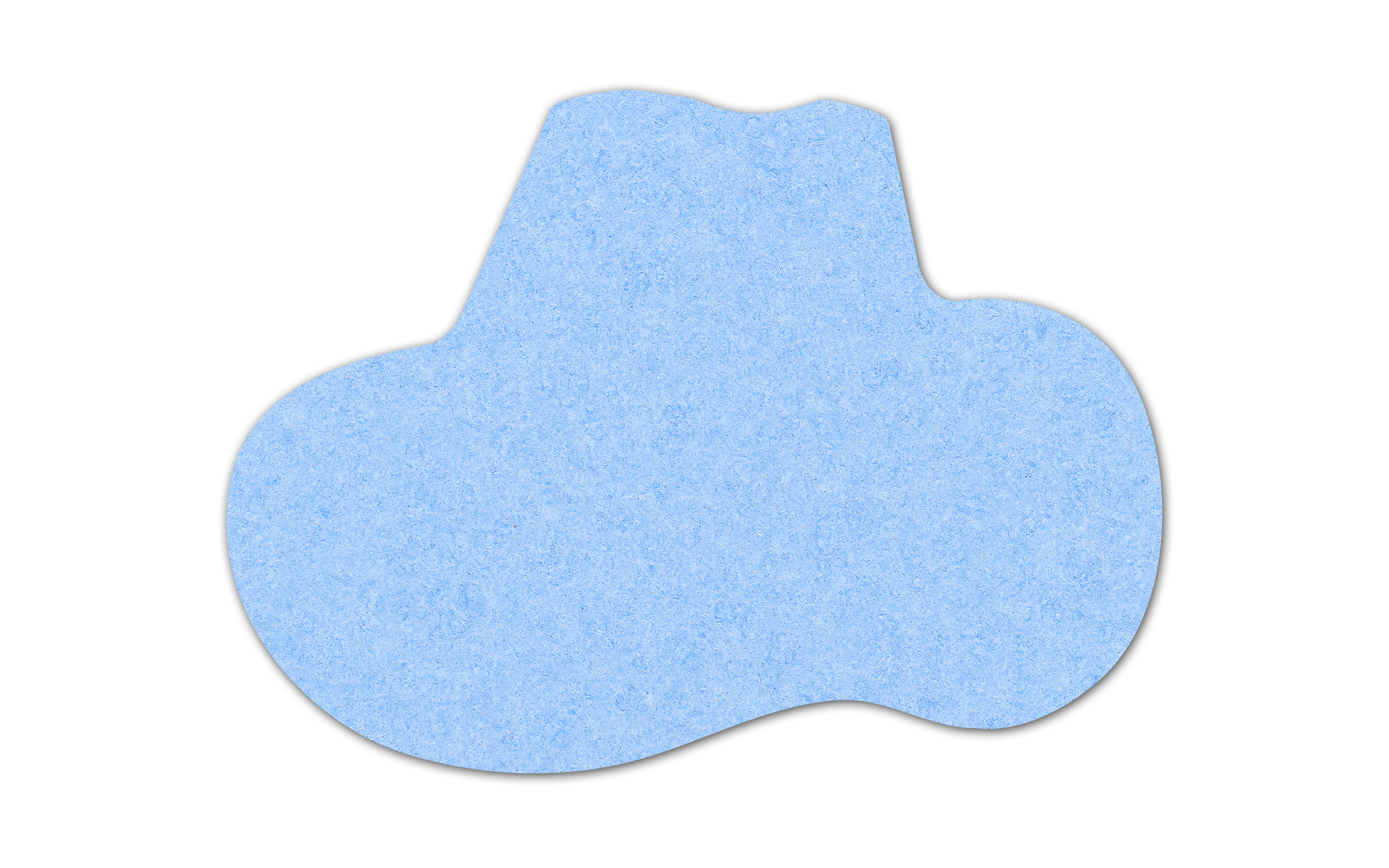 Cowboy Hat Compressed Sponge 6