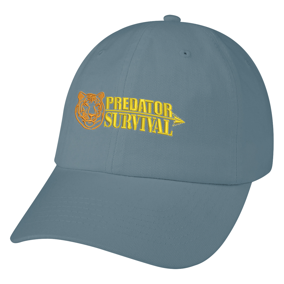 Washed Cotton Cap 10