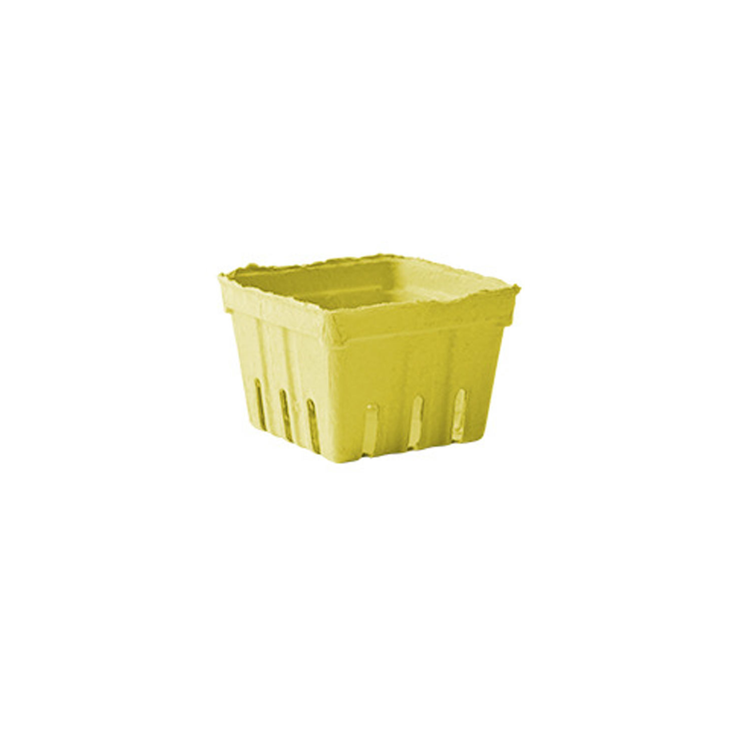 Bio-Degradable Fruit Basket 8