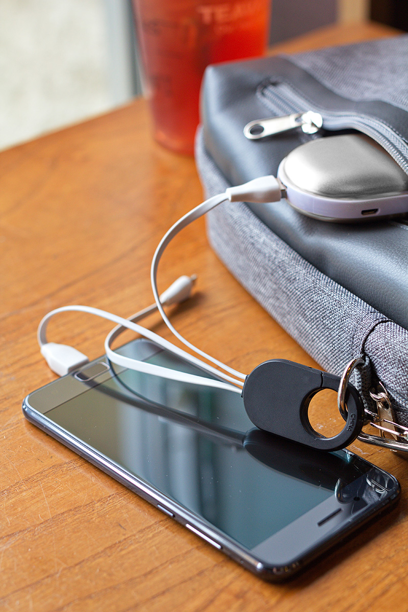 Triad 3-in-1 Charging Cable with Carabiner Clip 3