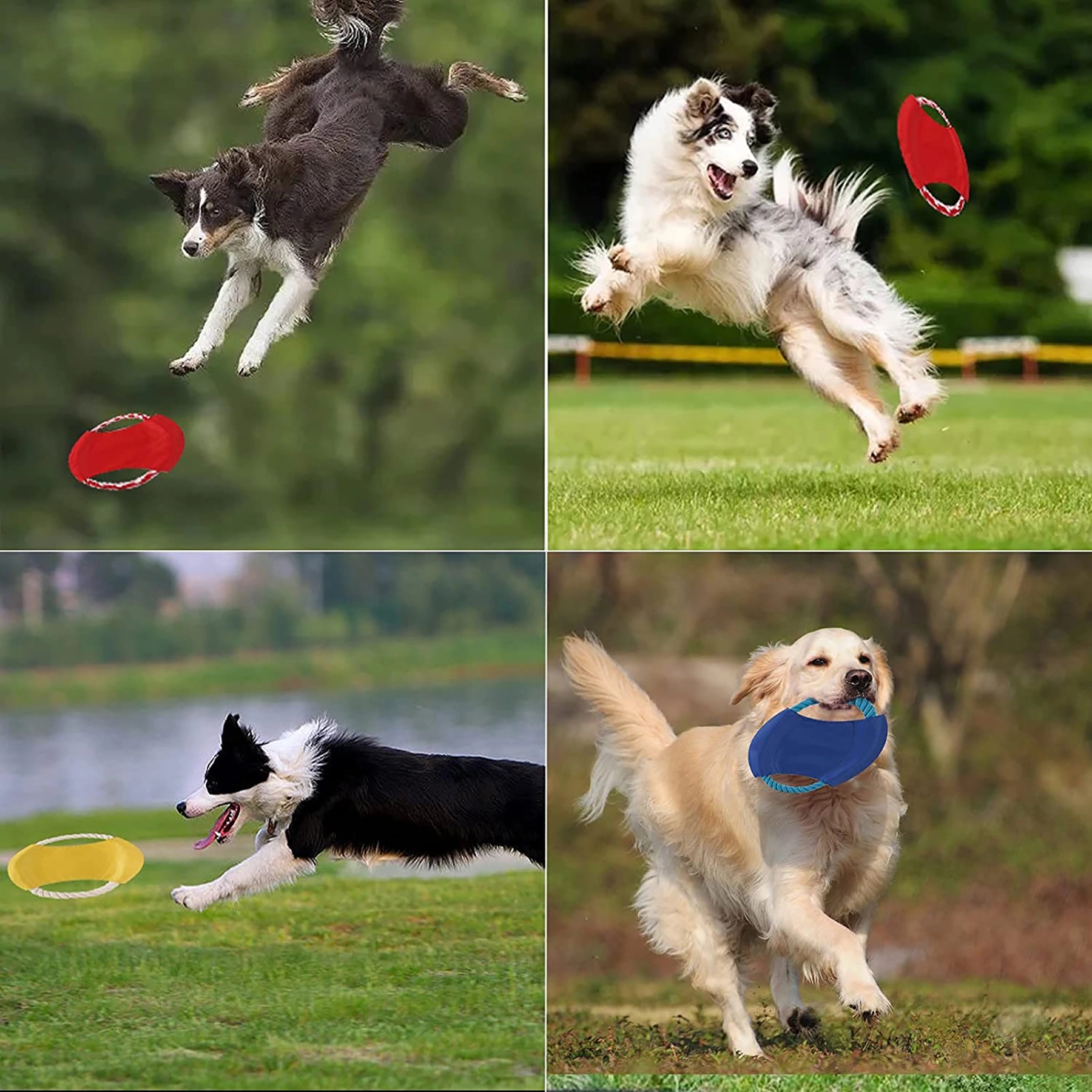 MOQ50Pcs Customized Toss N Chew Dog Disc 3