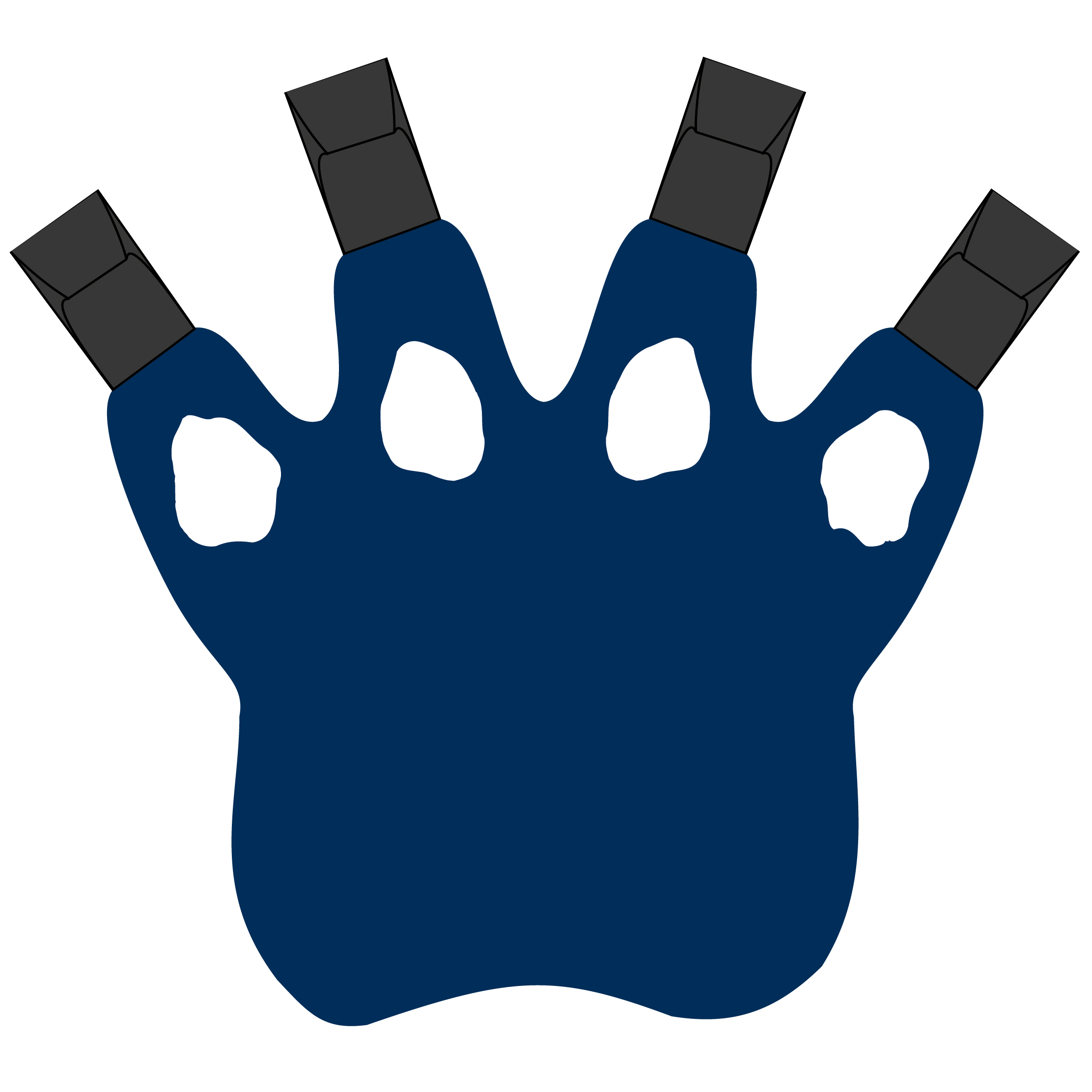 4 Claw Paw Mitt 5