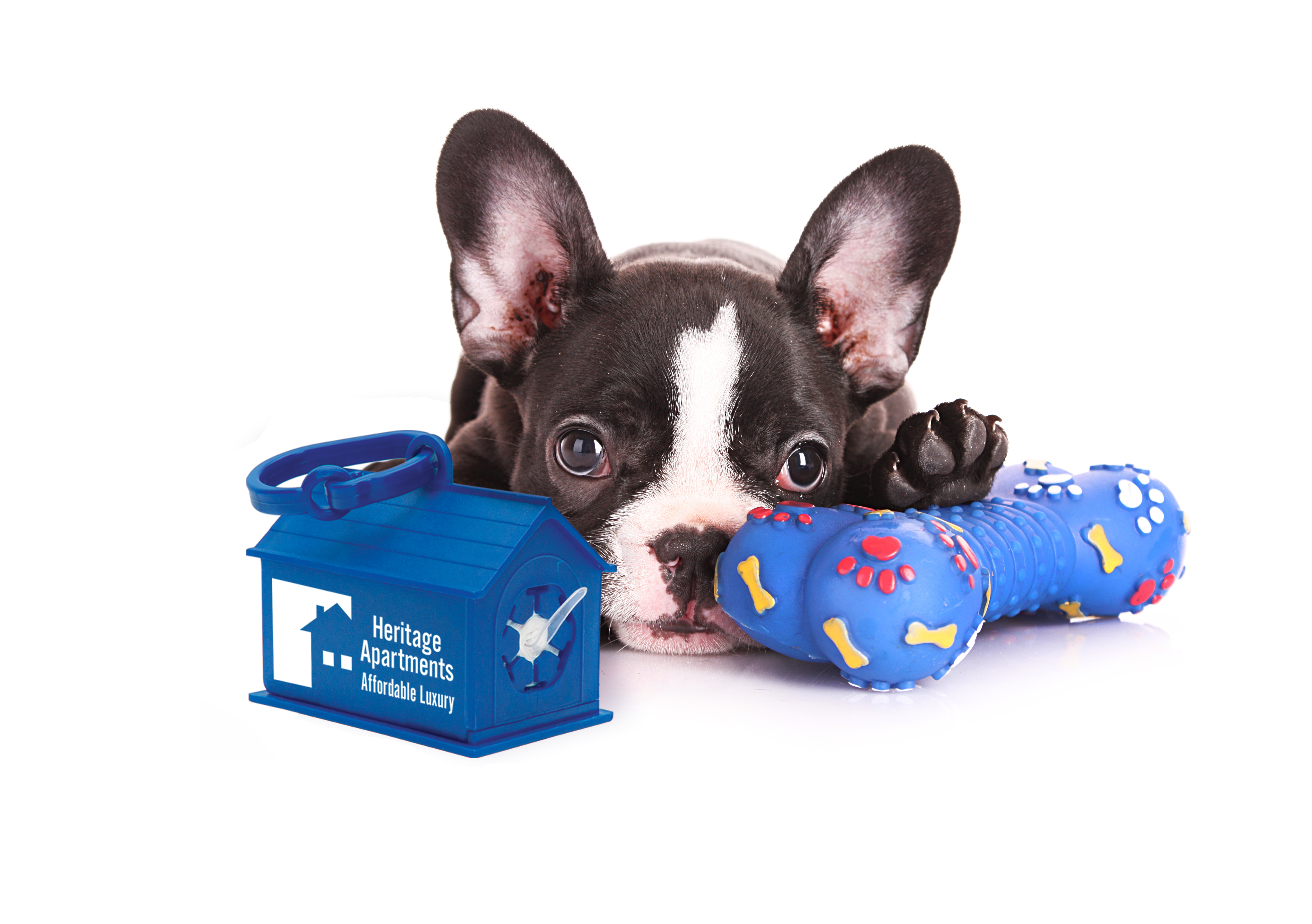 Dog House Waste Bag Dispenser 5