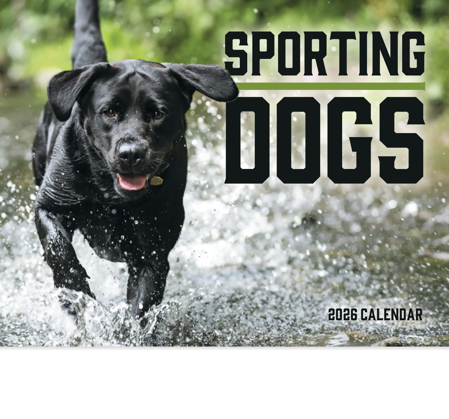Good Value™ Sporting Dogs - Stapled Calendar 1