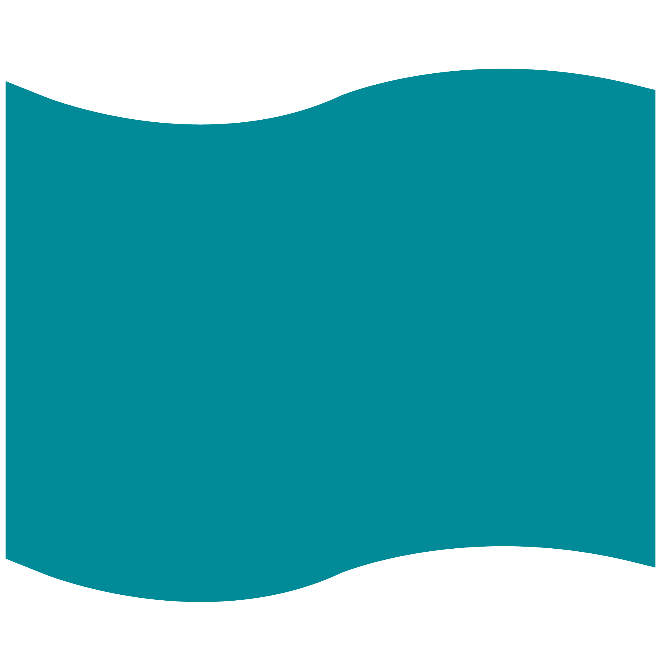 Foam Flag Mitt 33