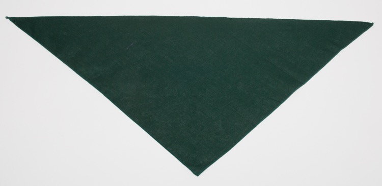 Personalized Large Dark Green Triangle Pet Bandana