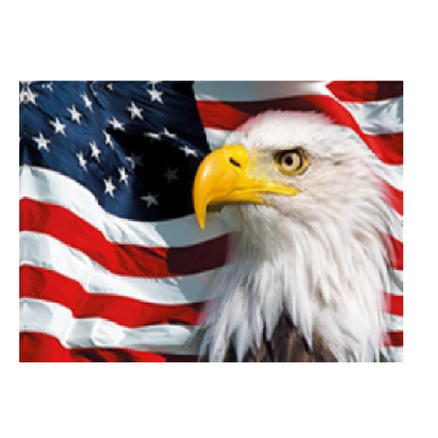 Single-Sided Dye Sublimation 1-Layer Flag  Warp Knitting (8' X 5') 2