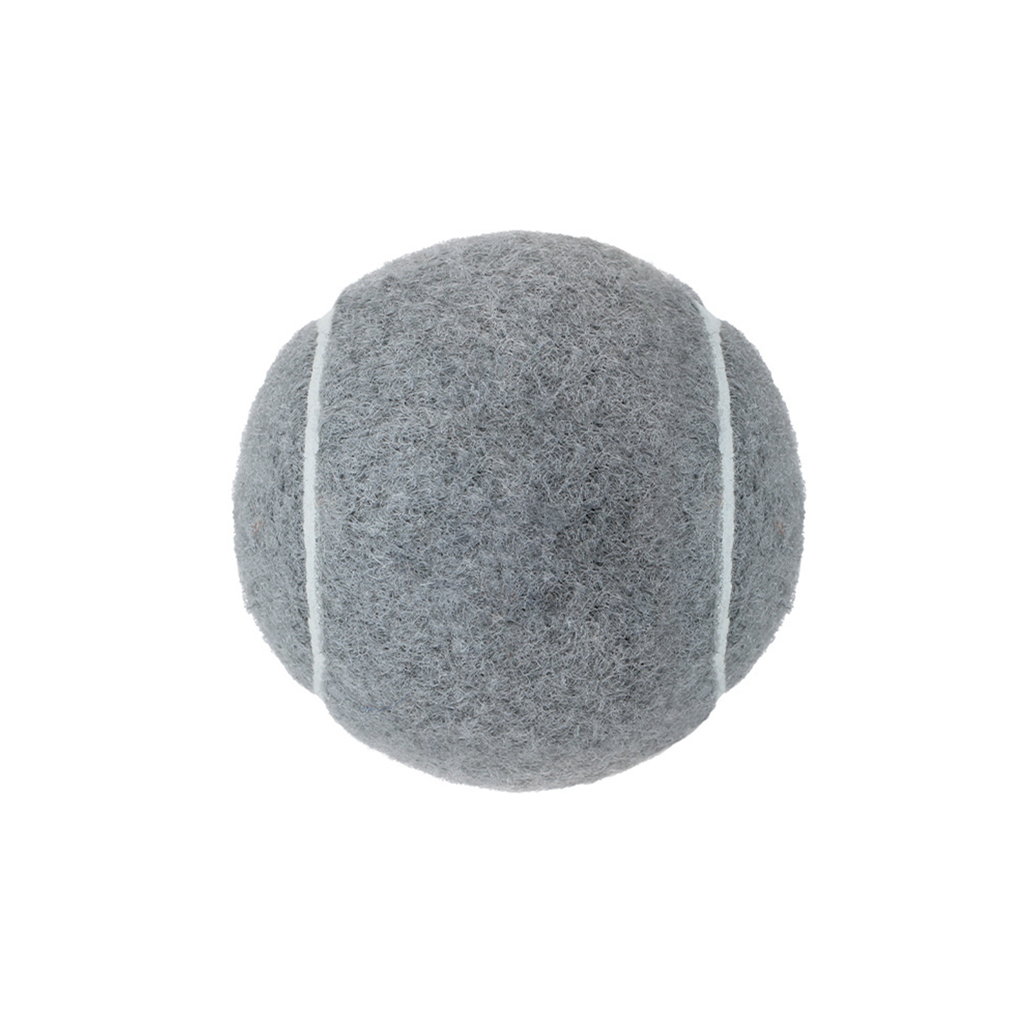 Pet Training Tennis Ball 2.5" Diameter 10