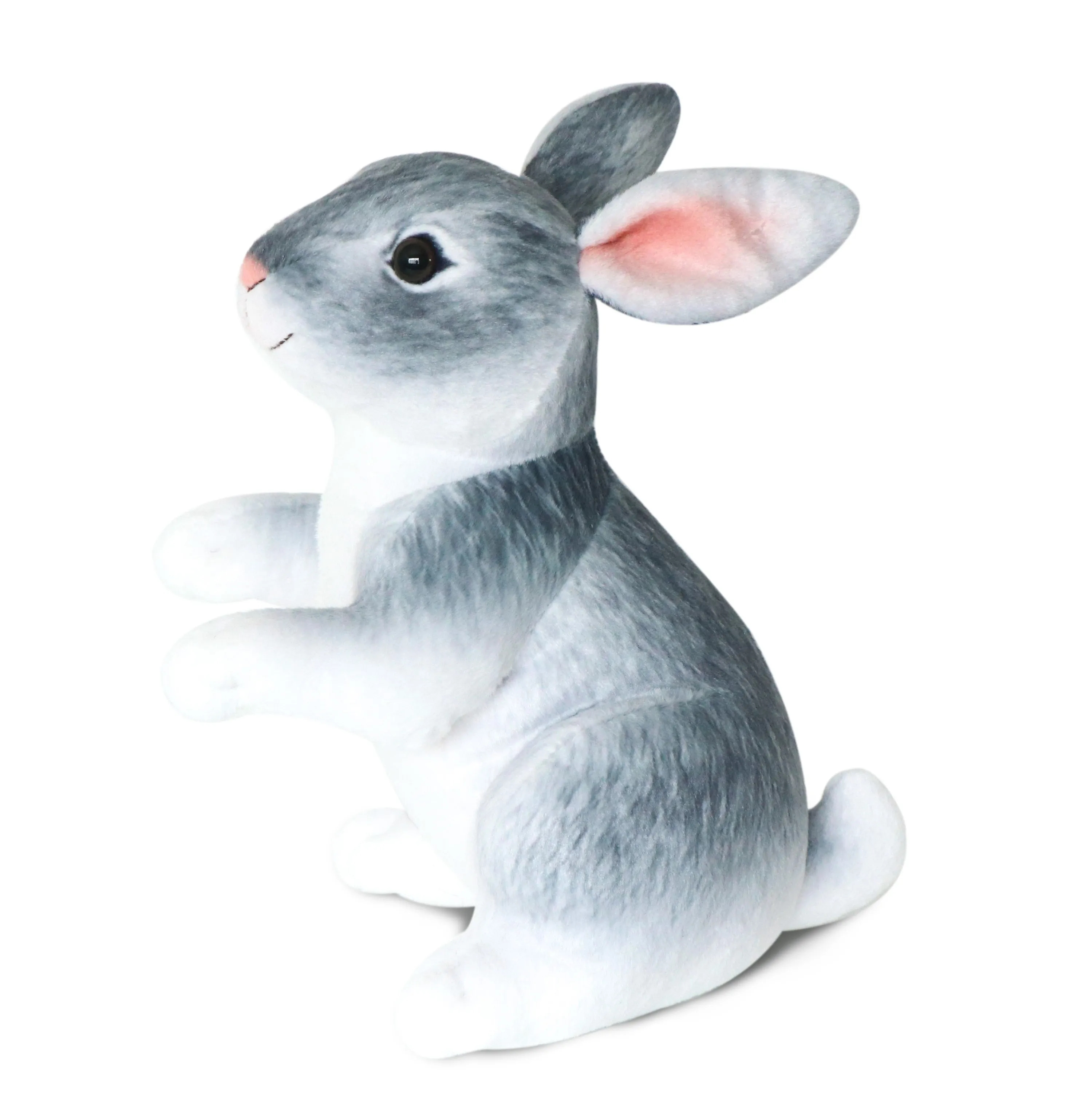 Grey Rabbit 1