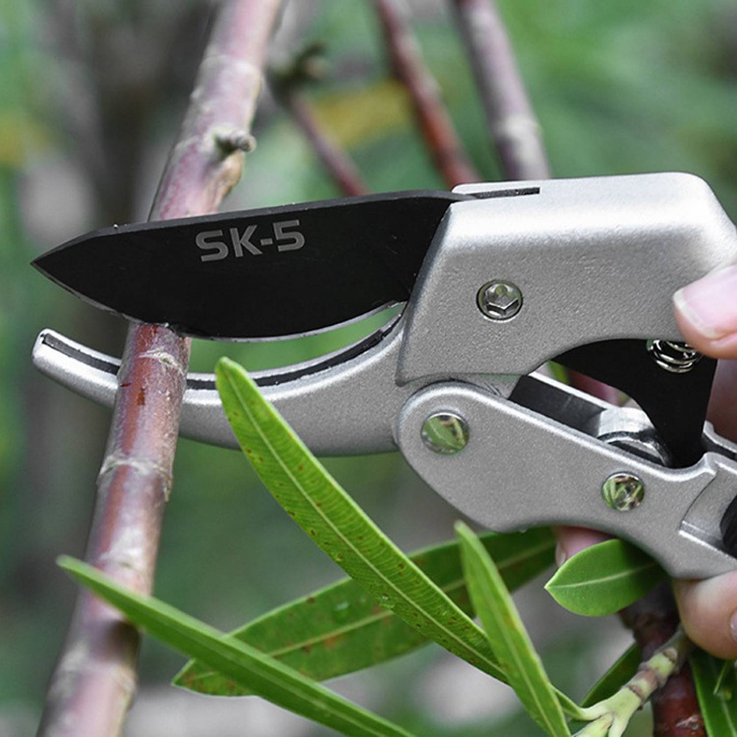 Sharp Gardening Floral Pruning Scissors for Plants 8