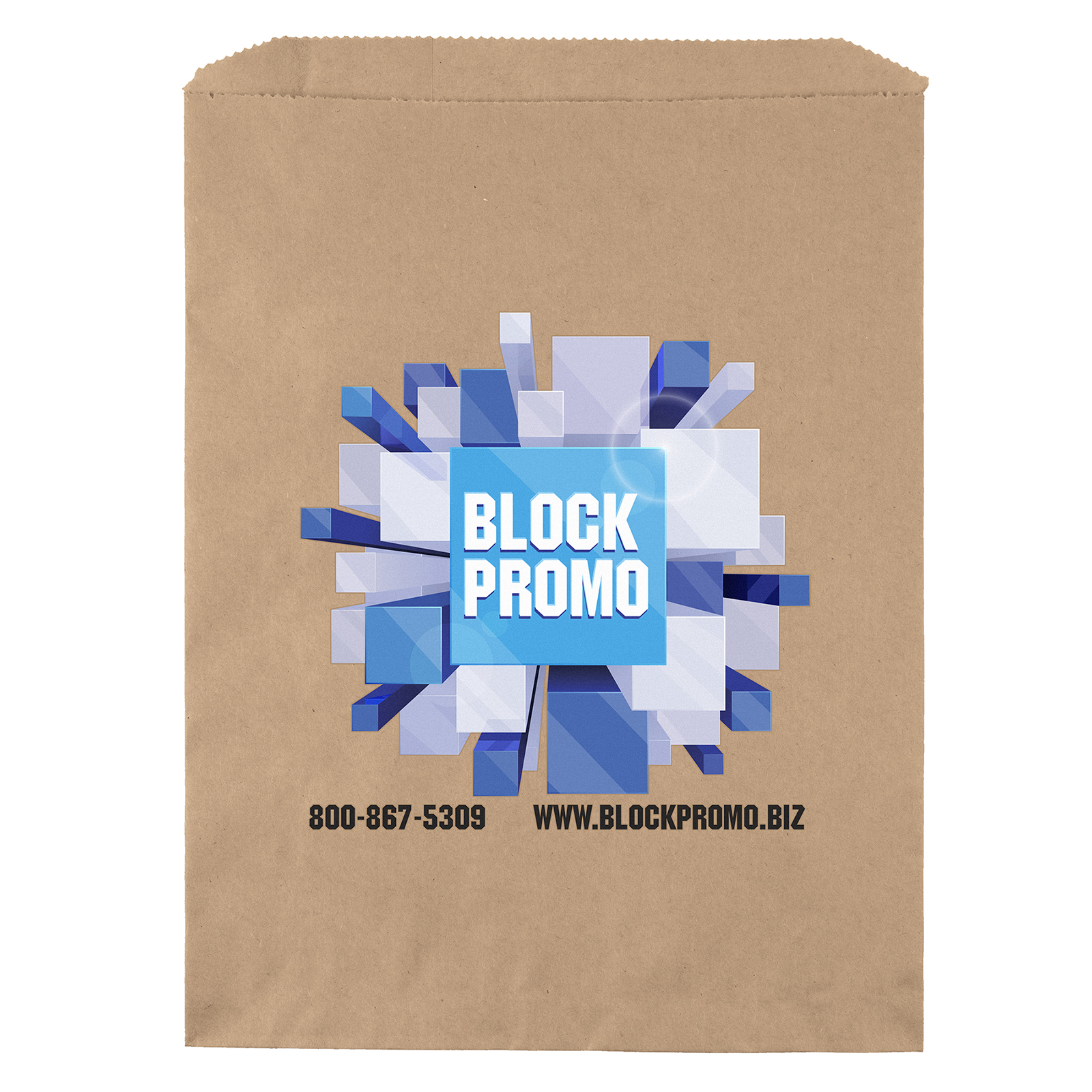 10W x 13H Merchandise Bag - ColorVista
