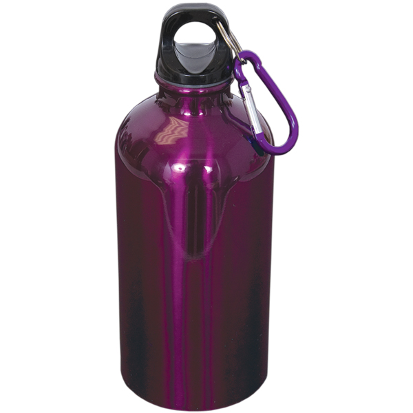 500 Ml (17 Fl. Oz.) Stainless Steel Bottle With Carabiner, custom water bottle with logo imprint 10
