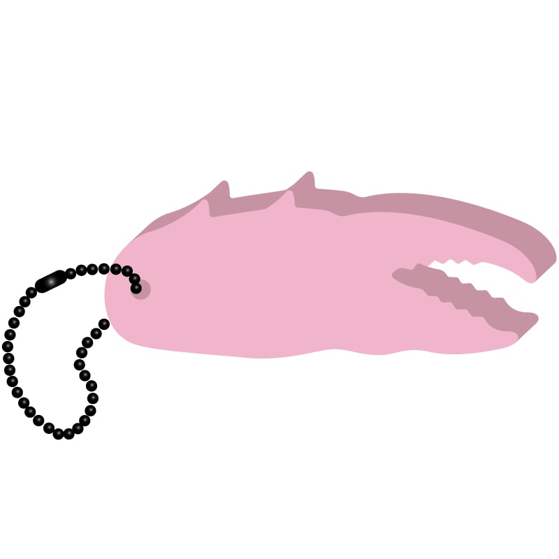 Claw Key Tag 7