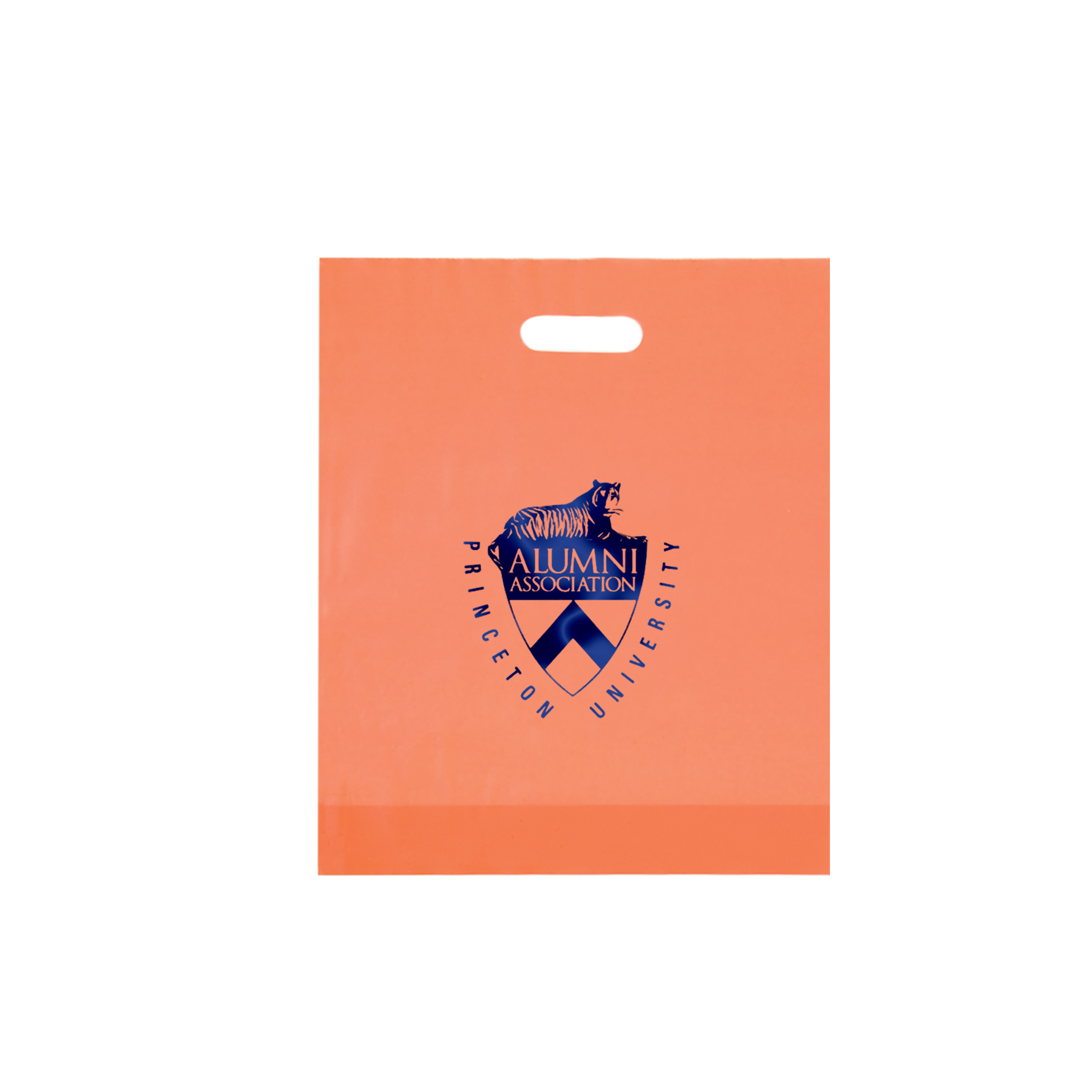 Non Reinforced HDPE Frosted Die Cut Bag 14