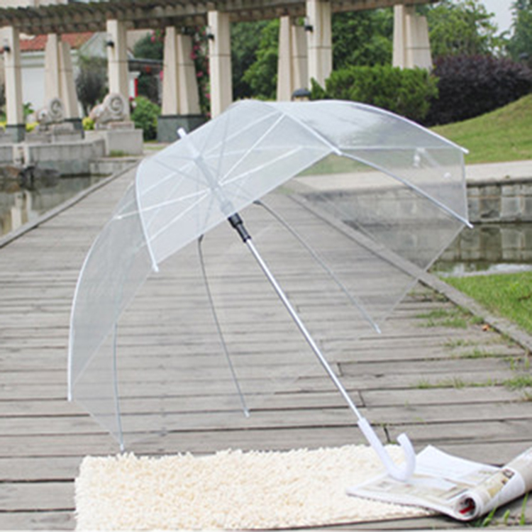 Clear Umbrella 2