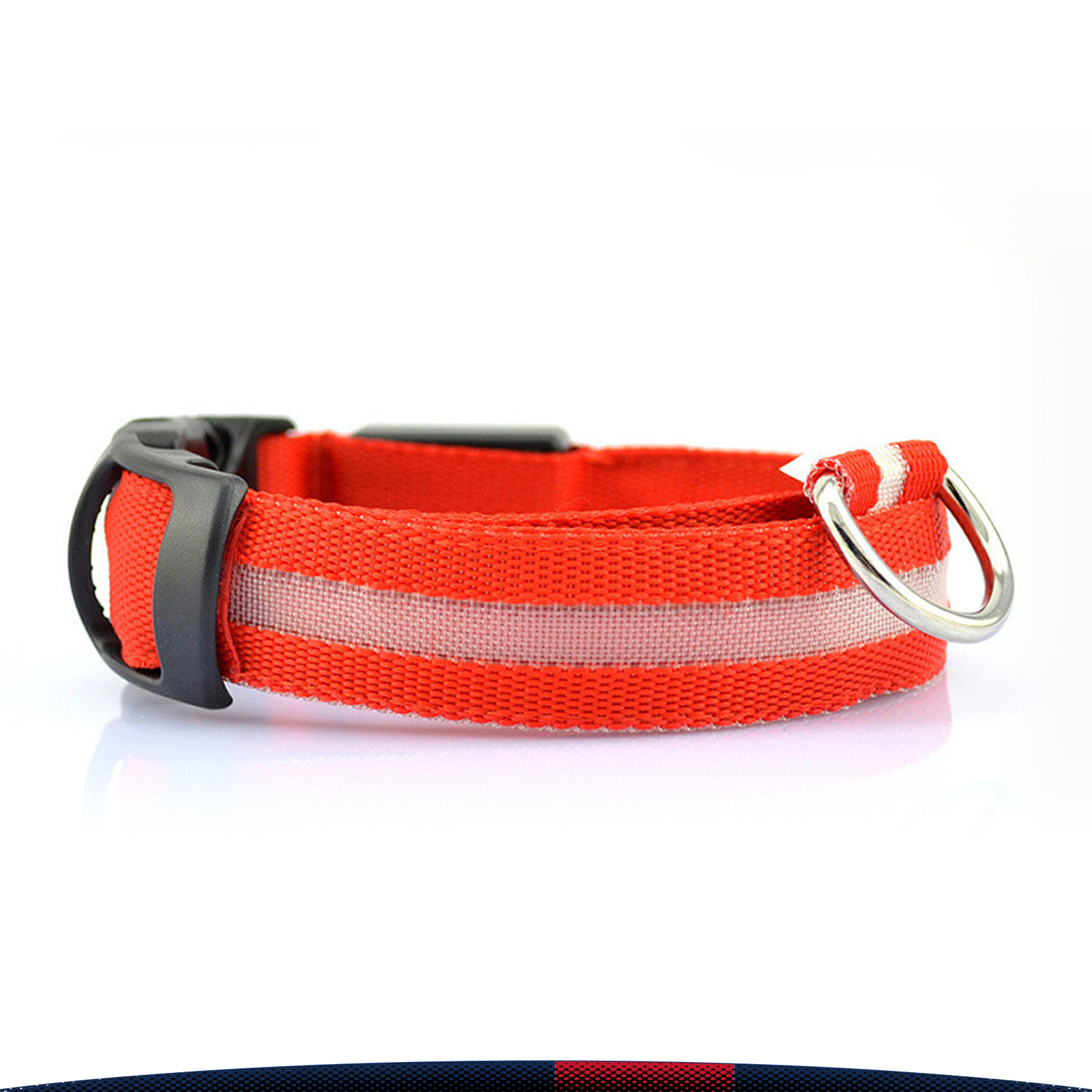 Led Dog Collar 8