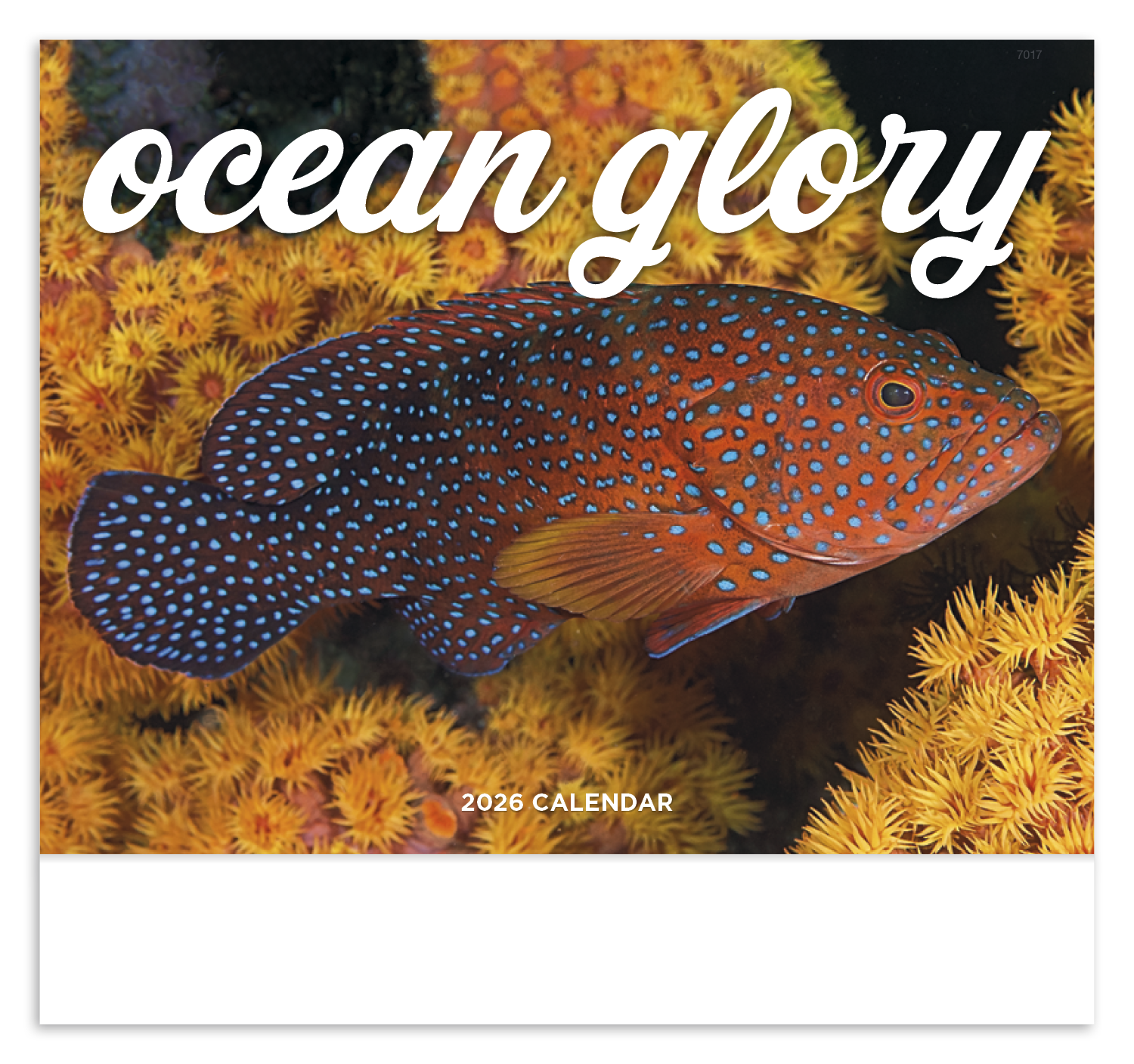 Good Value™ Ocean Glory - Stapled Calendar 20