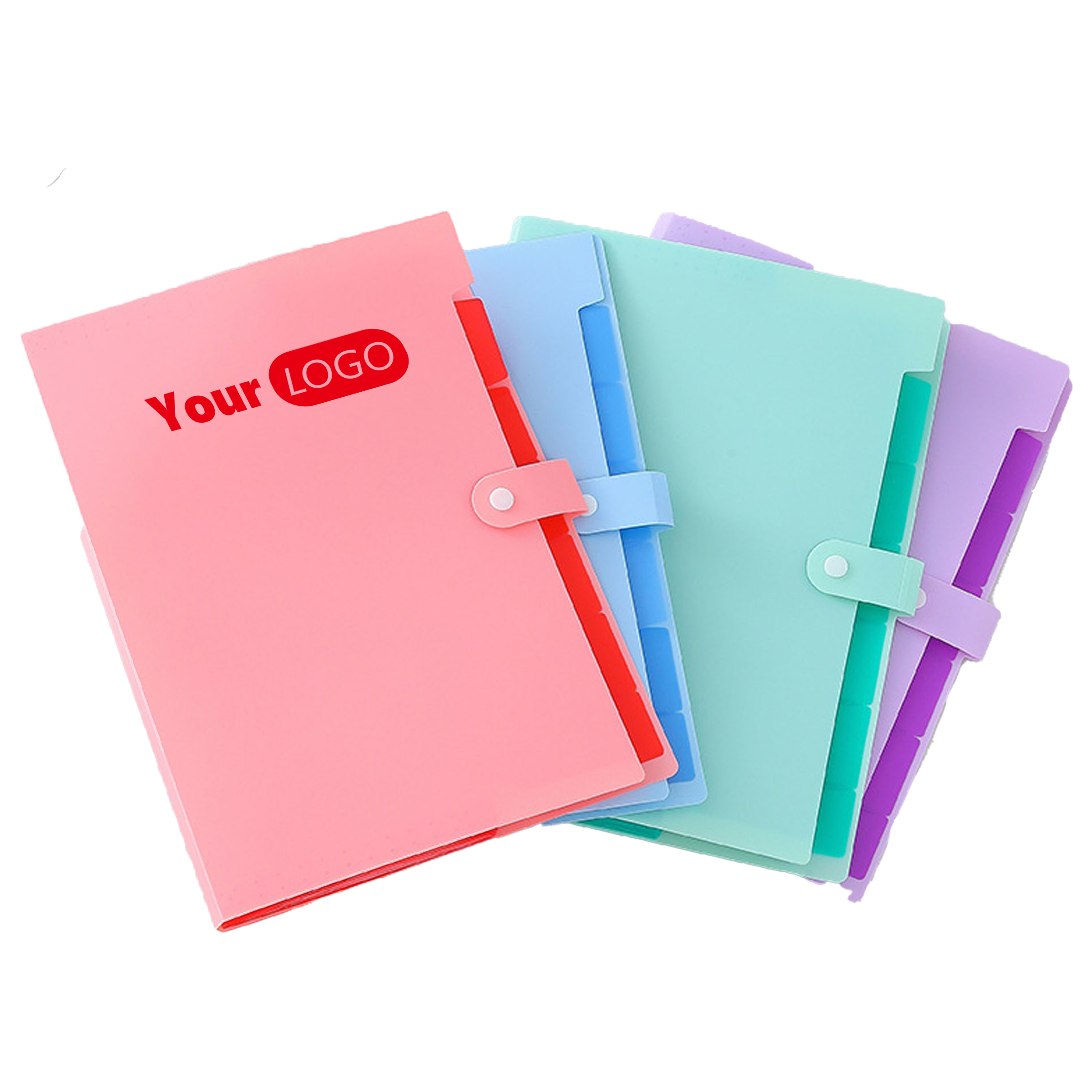 Plastic Organize With Style: Multi-Color Expandable File Folder 3