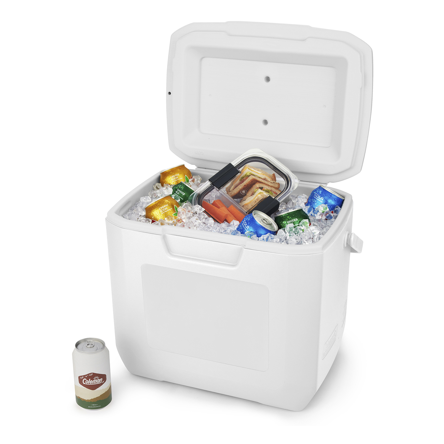 30 Qt Chest Cooler