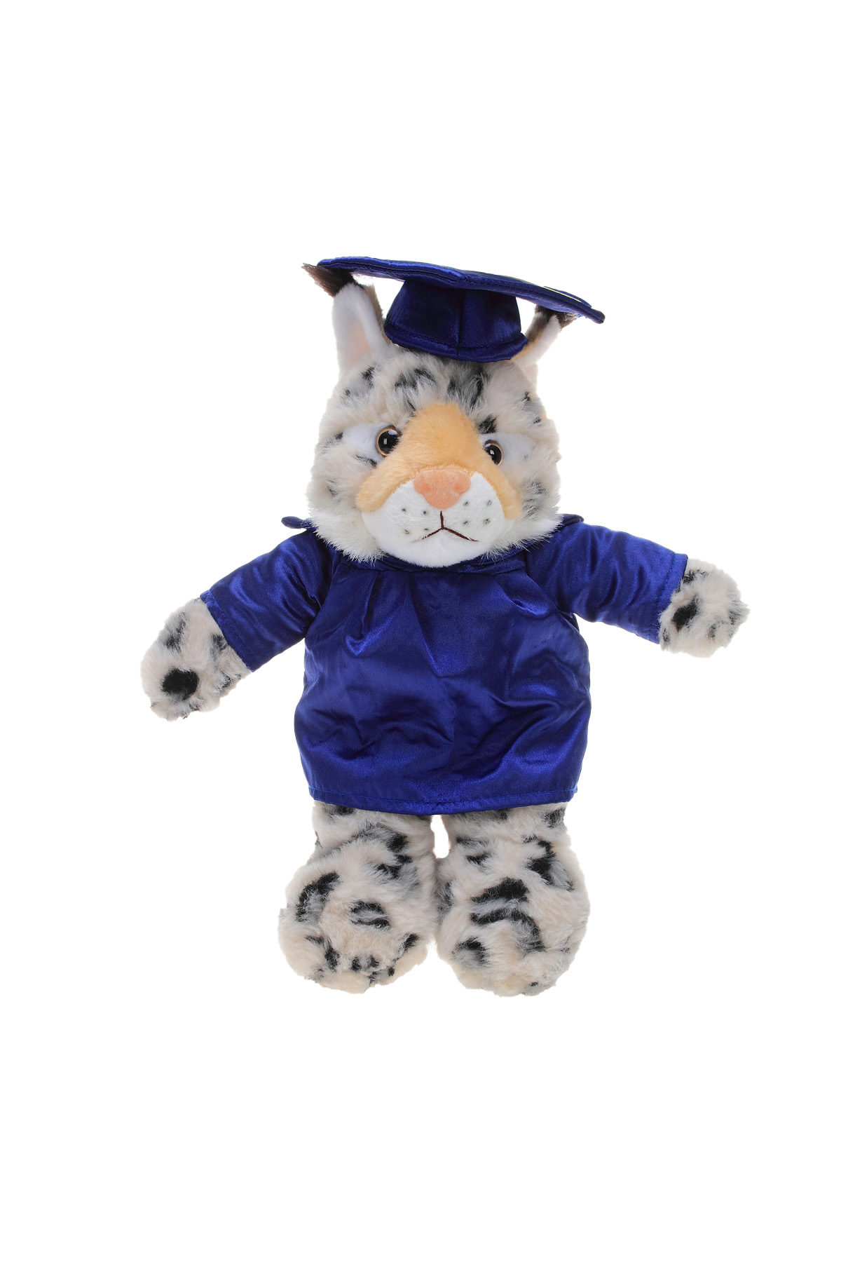 Soft Plush Wild Cat (Lynx) in Graduation Cap & Gown 5