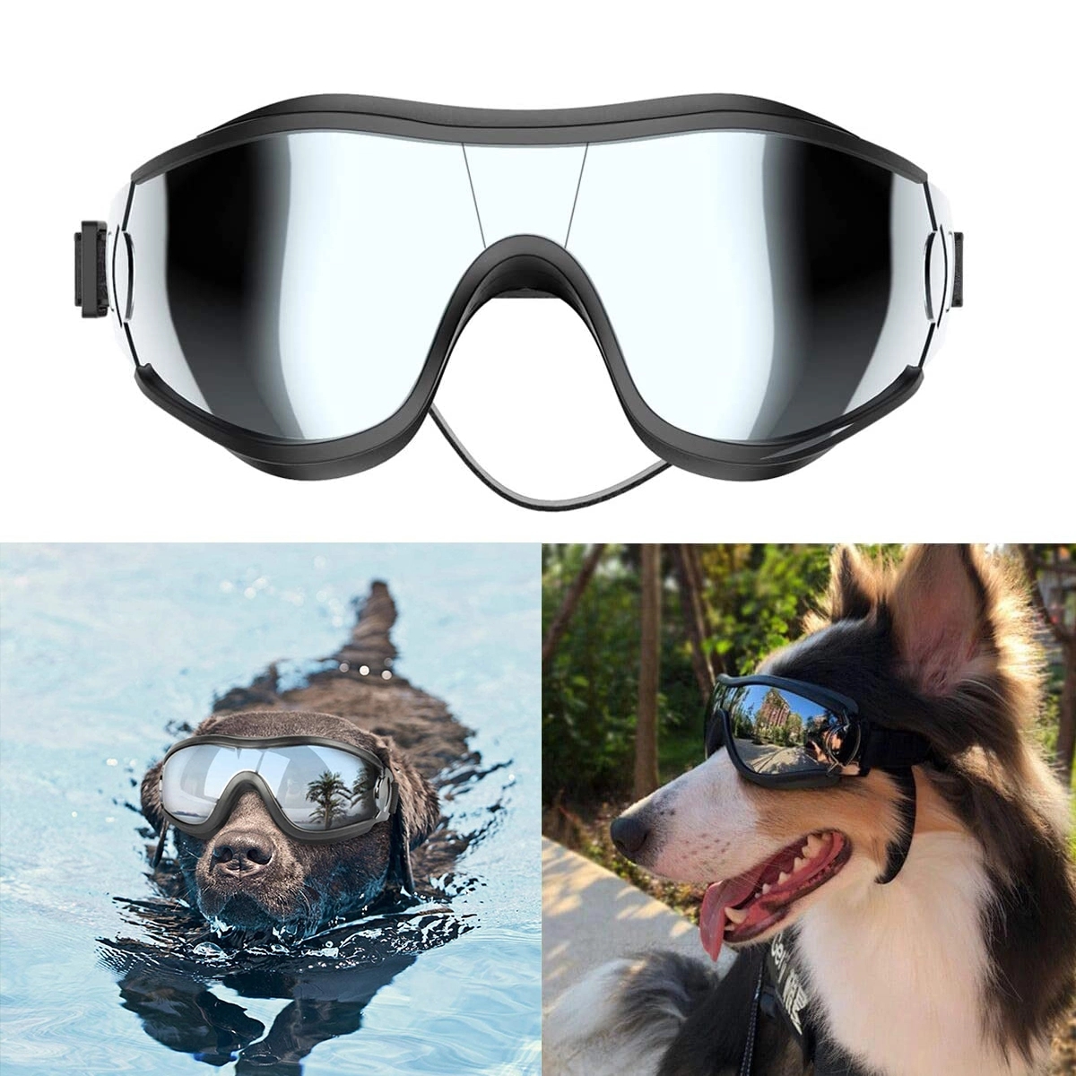Dog Goggles 4