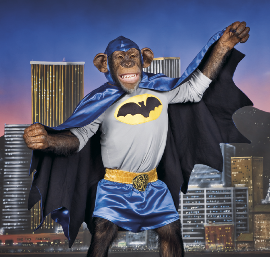 Triumph® Calendars Monkey Business Calendar 25
