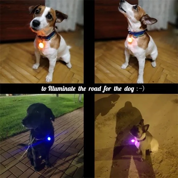 Clip-on Pet Collar Pendant Safety Light 5
