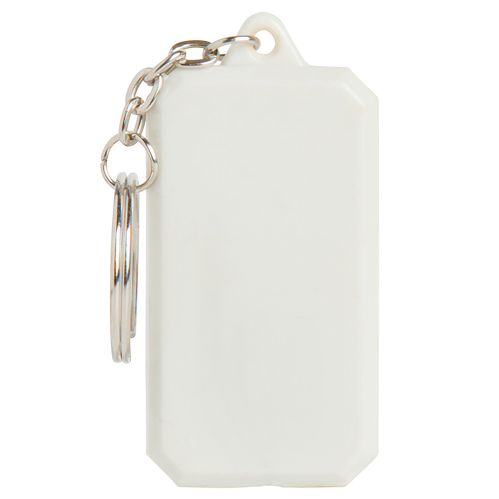 Compass Keyring 4