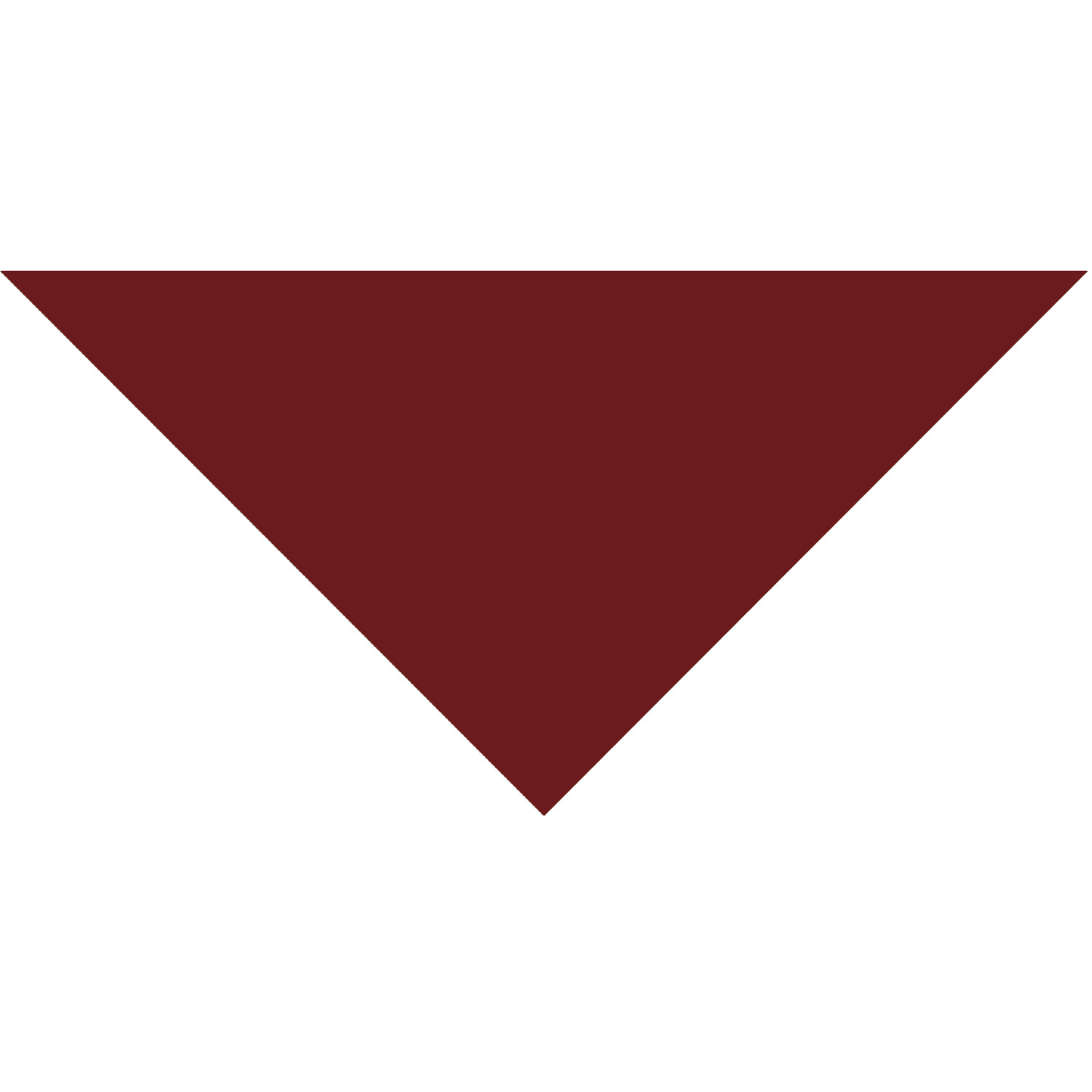 Domestic Pet Bandanna 10