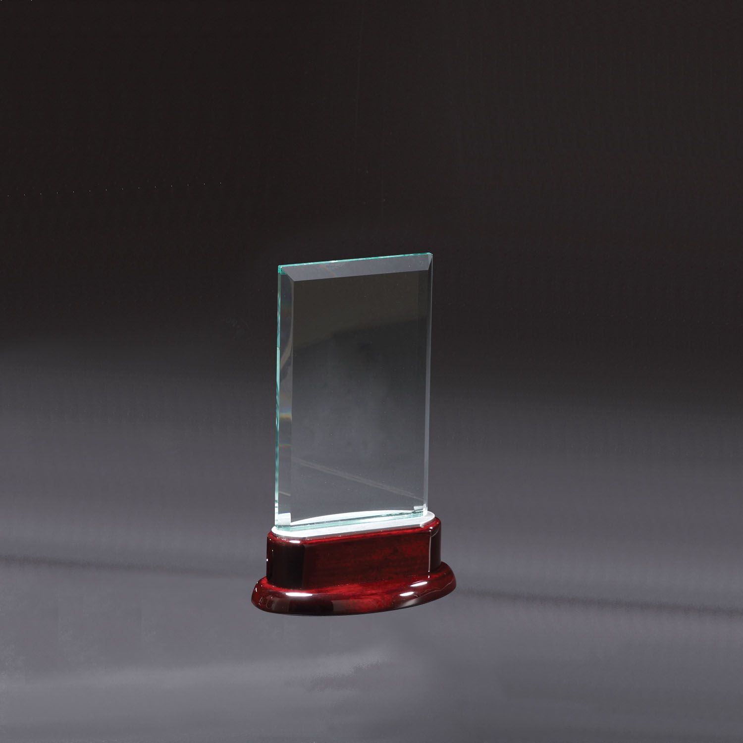 Statute Small Award 2