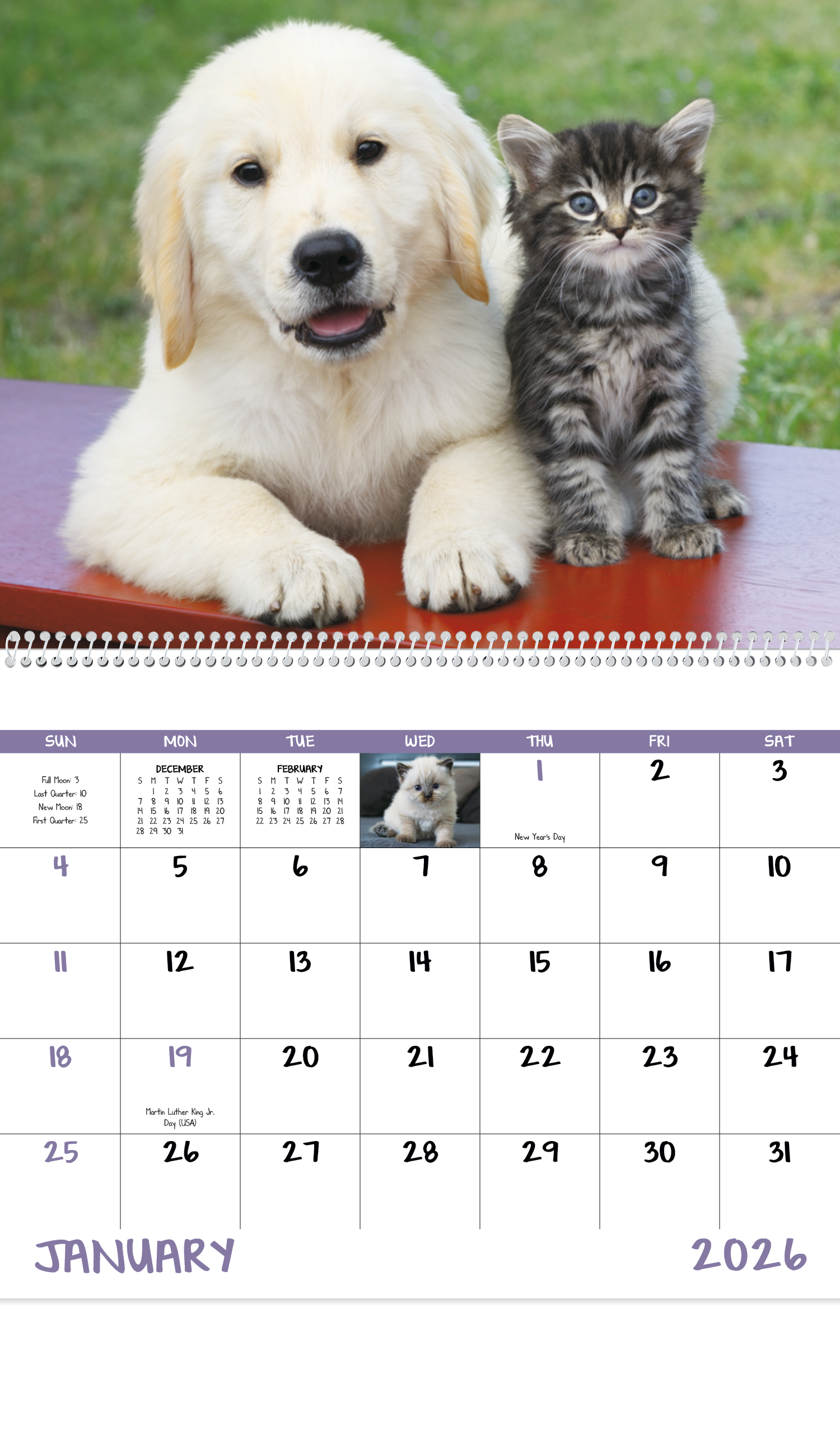 Good Value™ Puppies & Kittens - Spiral Calendar 6